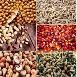  Soja, Acajou Et Arachides En Stock - céréales  nous somme une entreprises bas&eacute; au benin plus pr&eacute;cis&eacute;ment cotonou nous somme sp&eacute;cialis&eacute;e sur la fourniture des produit comme la noix de cajou le s&eacute;same le soja et l'arachide.. nous fournisseur de tr&egrave;s bonne qualit&eacute;s de produit qu