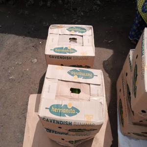  Fruits (preferentiellement Banane Cavendish) - fruits et légumes l'ideal serait un fournisseur,  localisé en afrique,  puisque je me situe au bénin. j'attends une certaine qualité de ses fruits. nous pourrons discuter des details via email--je suis dans le marché des fruits depuis plus de 10 ans alors,  je sais comment cela fonctionne et 