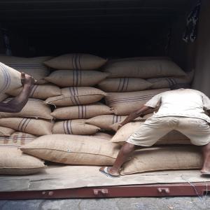  Vends Cacao Fin Sambirano De Madagascar - café cacao thé vous etes à la recherche d’un cacao de qualité supérieure pour vos produits chocolatés ? ne cherchez plus,  vous avez trouvé le meilleur fournisseur ! --je suis un producteur de cacao à madagascar,  le pays qui produit le meilleur cacao au monde. je vous propo