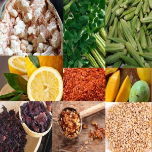  Recherche De Fournisseurs - fruits et légumes bonjour très chers, --nous recherchons des grossistes ou coopératives,  ayant à leur disposition un ou plusieurs produits parmi cette liste ,  pour une éventuelle collaboration afin d'écouler leurs stocks de produits.--- bouye (pain de singe)--- moringa--- bissap--- g