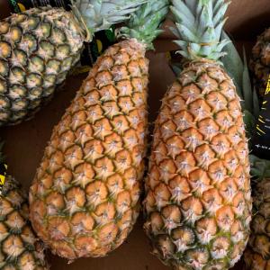  Ananas Pain De Sucre Et Ananas Cayenne Lisse. - fruits et légumes nous mettons a votre disposition deux variété d'ananas,  le cayenne lisse et le pain de sucre, ce dernier,  communément appelé ananas bouteille en référence a sa forme longiligne et sa robe verte qui le distinguent des autres variétés. --nos anans