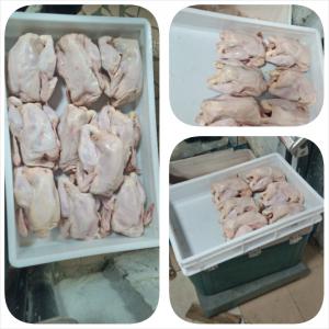  Poulets Fermiers En Vente En Gros - animaux vivants nous disposons de poulets de chair effil&eacute; provenant de nos fermes en c&ocirc;te d'ivoire. --possibilit&eacute; de livrer 500 poulets et plus par semaine.----prix - 2600 francs cfa/poulet ou 2300 francs cfa/kg----conditions - signer un contrat &agrave; court ,  moyen ou long terme ; &eacute;met