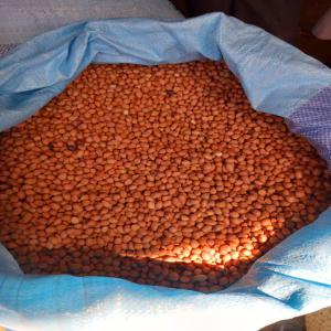  Arachides Décortiquées Du Sénégal - fruits secs et graines grillées n'a arachides sont encore disponibles au --sénégal dans le bassin arachidier du sénégal (kaolack) et à touba. contactez nous par mail ou par whatsapp pour passer votre commande et etre livré dans les plus brefs délais.