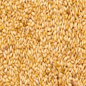  500tonnes De Sésame Disponible - fruits secs et graines grillées nous avons 500 tonnes de s&eacute;same disponible prix 1100fcfa / kilogramme pays d'origine burkina faso vente a l'entrep&ocirc;t 