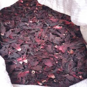  Fournisseur Bissap Hibiscus - fruits secs et graines grillées  nous disposons d'une bonne quantit&eacute; de bissap rouge vimto (hibiscus) nous cherchons des clients exp&eacute;dition partout dans le monde. 