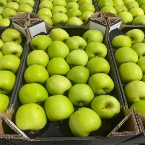  Pomme Gala Red Chief,golden Delicieuse - fruits et légumes  chers membres du espace agro nous cherchons des clients importateurs et distributeurs de fruits int&eacute;ress&eacute; pour l'achat des pomme origine espagne je reste disponible pour toutes informations compl&eacute;mentaires salutations 