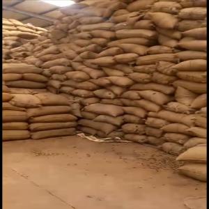  Nous Disposons De 500 Tonnes De Noix De Cajou - fruits secs et graines grillées nous disposons de 1 500 tonnes de noix de cajou à bissau. --le prix est de 1 000 $ la tonne--merci de nous contacter si vous etes interressés.--