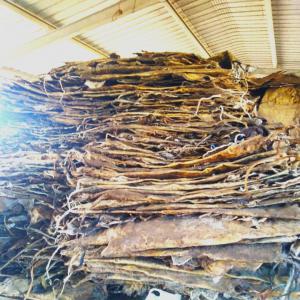  Vente De Peaux D'animaux En Grande Quantitees - autres je dispose d'un stock de 1000 tonnes de peaux d'animaux(veaux,  vaches,  chameaux,  moutons,  ch&egrave;vres .....) s&eacute;ch&eacute;s,  je peu livrer 50 tonnes de plus par semaines,  contactez moi si vous etes int&eacute;ress&eacute;.