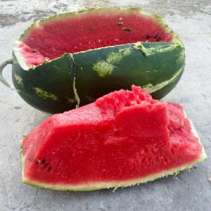  Pasteque Zagora - fruits et légumes past&egrave;que origine zagora qualit&eacute; sup&eacute;rieur calibres 8 10 12 16 kg par pi&egrave;ces suivant choix de client contacter nous pour plus d info