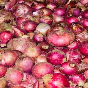  Oignons Disponible Au Mali - fruits et légumes salut j'ai de l'oignon disponible au mali et exportation possible partout en afrique et au occidentaux a un meilleur prix sur le marché.--quantité - 100 tonnes--prix - 275fcfa/kg--documents - certificat phyto sanitaire et certificat d'origine pour les exportations hors du mali.--pour p