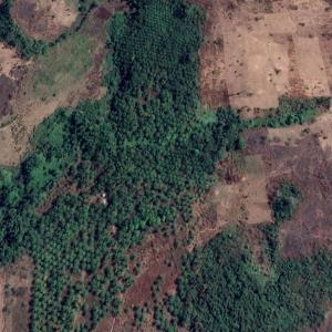  Terrain Agricol En Vente - mine terrain concession terrain titr&eacute; de 7 ha 40a disponible &agrave; vendre &agrave; foumbot (cameroun). le terrain est fertile et dispose d'un b&acirc;tisse d'environ 150 m² 