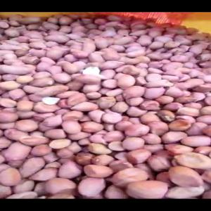  Vente D'arachide - autres bonjour chers tous,  nous disposons de 25.000tonnes d'arachides --si vous etes int&eacute;ress&eacute; merci de nous contacter pour plus de d&eacute;tails merci a vous 