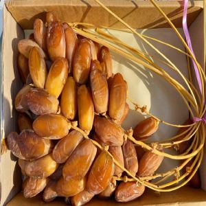  Recherche Importateurs De Dattes Algeriennes - fruits et légumes nous repr&eacute;sentons un groupes de producteurs de dattes alg&eacute;riennes de bonne qualit&eacute;,  nous sommes &agrave; la recherches de partenaires/importateurs s&eacute;rieux pour un programme d'exportation &agrave; moyen et long terme. 