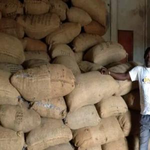  Ventes D'oignons,mangues Karité, Anacarde - fruits et légumes ventes des diff&eacute;rents produits agricoles tel que - mangues ,  oignons, choux ,  karit&eacute;,  anacarde, des haricots,  du mil ,  sorgho....... en grande quantit&eacute;. j'ai besoin de potentiel client