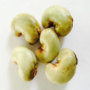  Attention Cashew Buyers! - roasted seeds and nuts attention cashew buyers!--we are excited to announce the upcoming cashew buyer season 2023 in guinea-bissau! as one of the leading suppliers of cashew in the region,  we are prepared to deliver an impressive quantity of 300 thousand tons of premium cashew for this season.--if you are a buyer interest