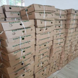  Produits Export - poissons carton africa mixt carton boite sardine farine de poisson huile de poisson produits origine maroc avec livraison exwek. fob c'f et cif 