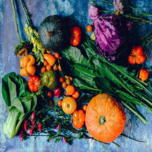  Frais Et Savoureux Tomates Bio En Gros - fruits et légumes vente en gros de tomates biologiques d'arbre bio !--appel à tous les amateurs de tomates et aux consommateurs soucieux de leur santé ! arbre bio est ravi de vous annoncer notre vente en gros exclusive de tomates biologiques,  vous proposant la meilleure sélection de tomates biolo