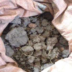  Ventes Cuivre - métaux n&eacute;gociant commercial tkm2 nous avons un stocks de 10 000 tonnes de cuivres brut &agrave; vendre en cif --- prix &agrave; la tonne 2900 n&eacute;gociable--- cif--- livraison en zambie--- cautionnement demande entre 5 et 10% du prix d'achat. 