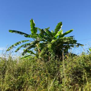 Lait En Poudre Certifié Qualité Premium - lait et produits laitiers notre société met a votre disposition des quantité importante de lait en poudre,  qualité supérieure,  origine ukraine,  livraison dans toutes destination merci de nous contacter pour plus d'informations, et pour présentation du dossier technique cordialement a 
