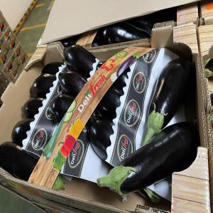  Fournisseur Fruits Et Légumes Saison - fruits et légumes  nous sommes fournisseurs de fruits ( fraise kiwi melon past&egrave;que ect)et l&eacute;gumes (courgette aubergine tomate choux fleur ect) origine espagne france maroc.notre but premier est de trouver des clients &agrave; long terme et de les satisfaire en qualit&eacute; et prix pour plu