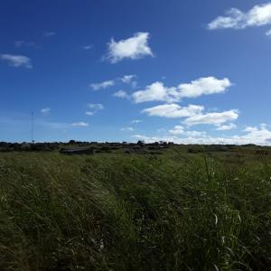  Huile Tournesol Et Colza Raffinée - huiles 10000 tonne huile de tournesol raffin&eacute;e en vrac ou non raffin&eacute;e huile de colza farine lait en poudre.