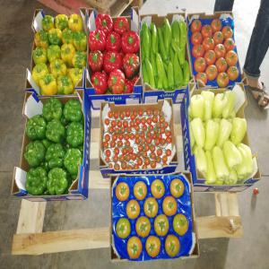  Fournisseur Des Fruits Et Légumes - fruits et légumes nous sommes une soci&eacute;t&eacute; marocaine active sur le domaine agricole,  nous avons nos propres fermes,  nos propres unit&eacute;s de conditionnement,  nos propres transport,  et nos propres d&eacute;p&ocirc;ts situ&eacute; &agrave; l'espagne et les pays-bas.--tous nos produits sont d&eacute;di&