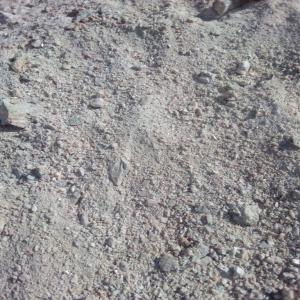  Vente Des Stock Du Barytine - mine terrain concession bonjour--je dispose actuellement d'un stock de barytine chimique et pétrolier  au maroc. s'il vous plait de me contacter pour plus d'information.--