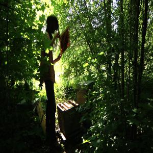  Miel Francais De Lavande Bio - produits sucrés bonjour, --apicultreur dans la drome je vous propose notre miel de lavande certifi&eacute; bio.--belle qualit&eacute; non chauff&eacute;,  miel de hausse uniquement.--minimum de 300 kg au prix de 9euros 50 ht,  9 euros si vous prenez plus de 2 tonnes--conditionn&eacute; en fut alimentaire de 300kg.--po