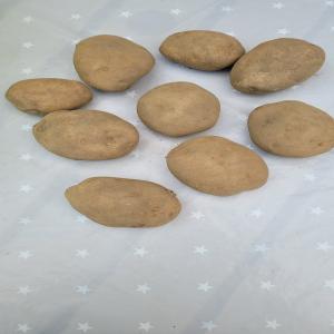 Pommes de terre spcial Frites  - fruits et lgumes nous proposons de pommes de terre spéciale frites--variété - fontane  qualité gustative aussi proche de la bintje et convient très bien à la préparation de frites.--calibre 45 et/ou 55--prix intéressant - à partir de 700 la tonne livr&e