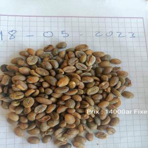 Cafe Vallée Du Sambirano - café cacao thé caf&eacute; en grain provenance d ambanja de la r&eacute;gion sava nord ouest caf&eacute; avec un ar&ocirc;me de son robusta difficile &agrave; trouver une pure origine 