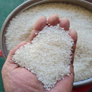  Riz Ir64 - céréales disponible du riz ir64 brisure 5% origine indienne. prix cif afrique de l'ouest 460$/t.--paiement lc 