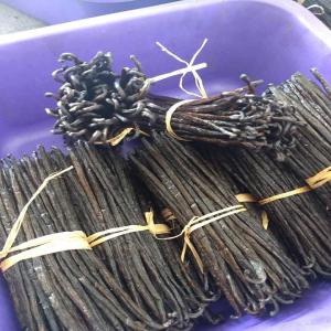  Supplier Of Best Madagascar Vanilla Beans - aromatic spices we supply high quality madagascar bourbon vanilla beans from northeastern area region s.a.v.a at the most reasonable price and fast delivery.our vanilla pods follow international quality market ready to use for similar vanilla project or business reselling purpose. specification item name vanil