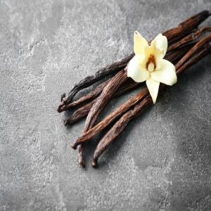  Vanille Png Tahitensis Et Planifolia - épices aromates vanille tahitensis et planifolia de qualit&eacute; a et b en direct des agriculteurs de vanille en papouasie nouvelle guin&eacute;e j'exporte vers tous les pays. tahitensis « over dry » pour une utilisation industrielle. le taux d'humidit&eacute; est de 15%. prix est fob 100 us$/kg tahitens