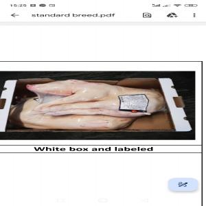  Suckling Pig, Cochon De Lait - viandes et oeufs nous sommes une soci&eacute;t&eacute; bas&eacute;e en r&eacute;gion parisienne. nous vous proposons nos cochons de lait origine espagne de 5kg 6kg 8 10kg &agrave; 9 15 / kg minimum de commande une palette de 650kg livraison rapide nous disposons &eacute;galement de l'huile de tournesol prix fr