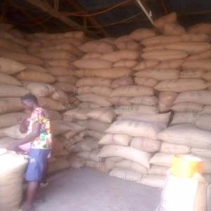  Acajou - autres nous disposons de 10000 tonnes de noix d'acajou du premier saison--pour plus d'informations veuillez me contacter