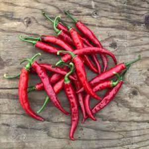 La Société Faso Production Agricole Et Maraîcher - fruits et légumes recherche acheteur s&eacute;rieux pour du piment cayenne ou bec d'oiseaux le gombo sec de la vari&eacute;t&eacute; indiana en pr&eacute;venance du burkina faso. pour un partenariat durable () 