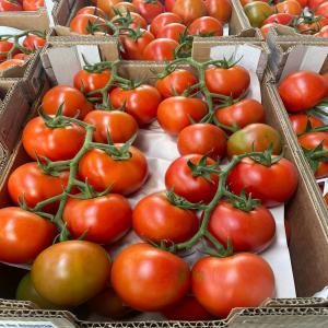  Wholesaler Vegetables And Fruits - fruits and vegetables hello we are wholesaler vegetables and fruits we have our product same time we buy from producteur and we import vegetables and fruits from morocco we are based in malaga spain we search for clients how want to buy minimum one truck we can mixing more fruit and vegetables for quality we only good pr