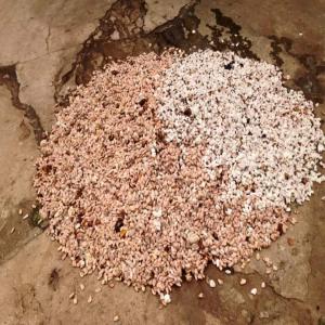  Fournisseur De Beurre Poudre Et Fève De Cacao - café cacao thé le meilleur cacao directement de la c&ocirc;te d'ivoire ! etes vous &agrave; la recherche de produits de cacao de haute qualit&eacute; pour votre entreprise de chocolaterie de p&acirc;tisserie ou de confiserie ? ne cherchez pas plus loin ! nous sommes fiers de vous pr&eacute;senter notre entrepris