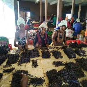  Supplier Of Bourbon Vanilla Beans From Madagascar - aromatic spices we supply high quality madagascar bourbon vanilla beans from northeastern area region s.a.v.a at the most reasonable price and fast delivery.our vanilla pods follow international quality market ready to use for similar vanilla project or business reselling purpose. specification item name vanil