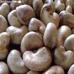  Vente De Noix De Cajou - fruits secs et graines grillées bonjour &agrave; tous. ----nous vendons des noix de cajou de qualit&eacute; outurn 46+ avec un stock de plus de 2.000 mt destin&eacute;s &agrave; l exportation. --nous vendons en fob et cnf &eacute;galement.  --mode de paiement - lc / sblc &eacute;mise par une banque du top 15. ----n h&eacute;sitez 