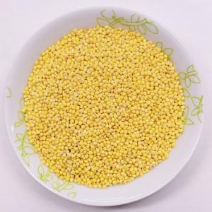  Millet Pour Consommation Humaine - céréales nous appartenons &agrave; une communaut&eacute; agricole au sein de l'ukraine. comme chaque ann&eacute;e la r&eacute;colte du millet aura lieu en juillet. millet d&eacute;cortiqu&eacute; de tr&egrave;s haute qualit&eacute; pour consommation humaine. le produit est vendu localement dans les superm