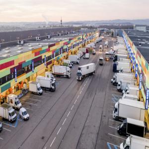  Vente Et Destockage En Gros Fruits Et Legumes - fruits et légumes  recherche partenariat ou fournisseur pour un local commercial de 600m2 tout &eacute;quip&eacute;. implant&eacute; au sein meme du march&eacute; de gros fruits et l&eacute;gumes de lyon/corbas avec plus de 50 000 clients professionnel r&eacute;f&eacute;renc&eacute; dont forain &eacut