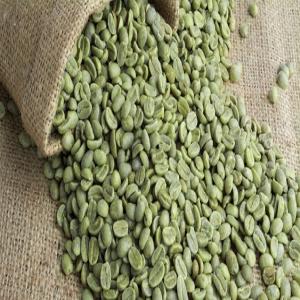  Robusta Coffee/arabica Coffee Beans For Sale - coffee cocoa tea product type-----arabica/robusta coffee bean grade a----variety-----arabica/robusta----we ,  ight (kg)-----50/60kg/jute bag 20ft container- 19.5tons or 22tons(bulk packing)----max. moisture (%)-----12% max----additional ingredient-----0.5%max----rate of defect-----7.0%max----cultivation type-----comm