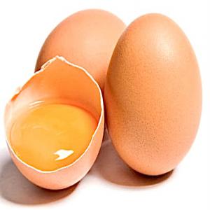  Œufs Eggs - viandes et oeufs &oelig;uf provenance europe prix 0.15 cts soit 4 5   la plaque de 30 calibre 3 novogen boitage possible 6 12 30 livraison france paiement 30/70 sur proforma et cmr dcr 28 jrs ean13 usage p&acirc;tisserie cuisson sauce mayonnaise etc . par camion sur plaque de 30 x12 plaques x 30