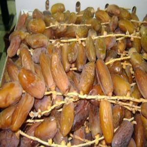  Datte Tunisienne - fruits secs et graines grillées nous avons export&eacute; le datte tunisienne naturel conditionn&eacute;e et d&eacute;noiyette  deglet nour datte alig datte khouat alig datte kenta pate de datte sriop de dattte sucre de datte poudre de datte en diff&eacute;rents emballages et poids en trois marque aline date