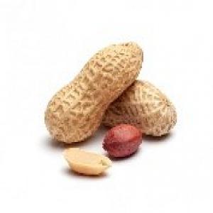  Exportation Des Noix De Cajou Et Fruit Secs - autres nous sommes une entreprise agro industrie,  nous disposons des produits comme des noix de cajou,  sésame,  hibiscus,  mangues séchées et brutes,  maïs,  mil,  sorgho et bien d'autres produits agricoles en grande quantité et nous distribuons partout dans le monde.