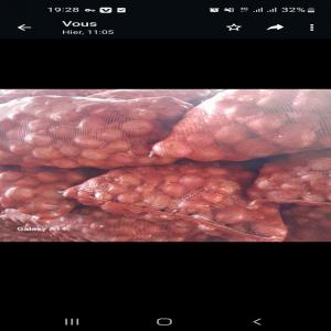  L'oignon Rouge - fruits et légumes bonjour.--nous avons en stock 30.000  sacs de 25kg d'oignon rouge ( sobl&eacute;) de tr&egrave;s bonne origine s&eacute;n&eacute;galaise --que nous vendons avec des prix tr&egrave;s abordable. --pour les int&eacute;ress&eacute;s, --contactez nous