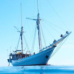  Équipement Et Accessoire Maritime - equipement maritime votre destination en ligne pour tous vos besoins maritimes ! bas&eacute; en france,  nous proposons une vaste s&eacute;lection d'&eacute;quipements,  d'accessoires et de pi&egrave;ces de rechange pour votre bateau. que vous soyez un marin exp&eacute;riment&eacute; ou un passionn&eacute; de navigation, 