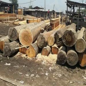  Recherche Clients - bois charbon fibre salut chers tous----nous sommes ala recherche de clients pour l'exportation des  bois en grumme en provenance dela république démocratique du congo. ----nb toutes sortes de bois.----cordialement 