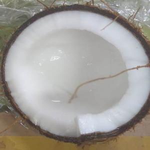  Noix De Coco Mangue Ananas Banane Avocat Papaye - fruits et légumes vente et achat et dépôt-vente de produits exotiques africains pour magasin exotique - noix de coco,  mangue,  ananas,  banane,  fruit de la passion,  canne à sucre,  avocat,  papaye solo avion,   citron, ... banane plantain,  en gros,  en demi-gros,  et à de bon prix pour revendeurs,  